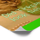 Affiche de chat (Coin)