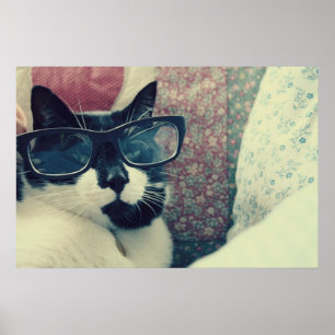 affiche de chat de hippie