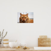 Affiche de chat des forêts norvégiennes (Cuisine)