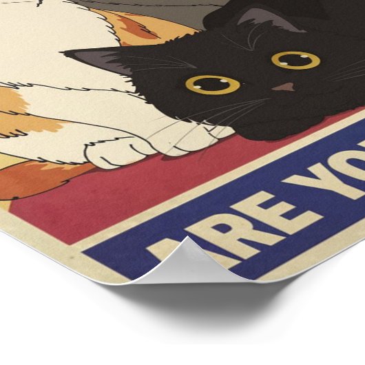 Affiche de chat drôle | Est-ce que tu fais caca ? (Coin)