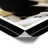 Affiche de chat en smoking drôle (Coin)