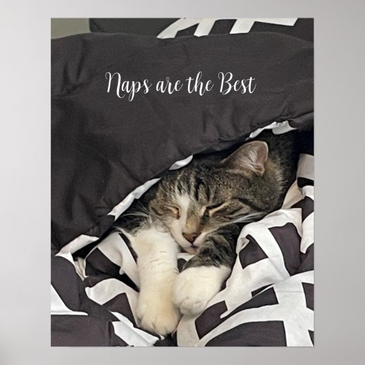 Affiche de chat endormi (Devant)