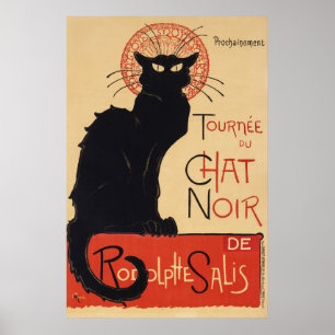 Affiche de chat français
