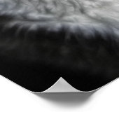 Affiche de chat noir et blanc magnifique (Coin)