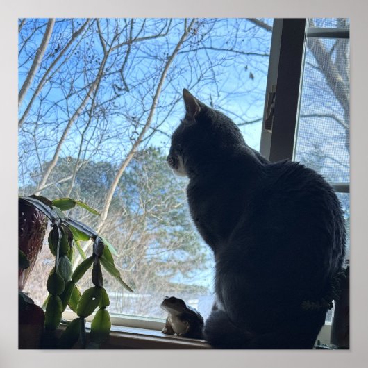 Affiche de chat regardant par la fenêtre (Devant)