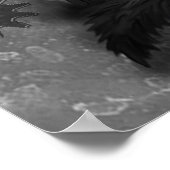 affiche de chat steampunk (Coin)