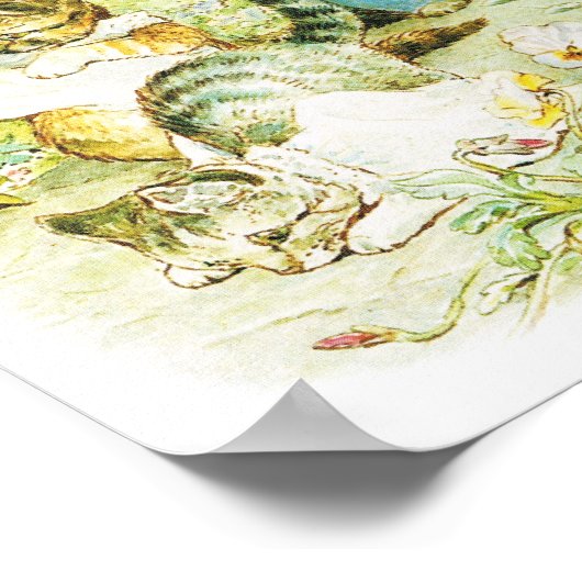 Affiche de chat Tom Kitten pour bébé et mur de nur (Coin)