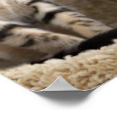 Affiche de chaton Hakuna Matata (Coin)