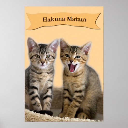 Affiche de chaton Hakuna Matata (Devant)