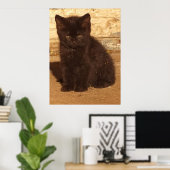 Affiche de chaton noir duveteux (Bureau à domicile)