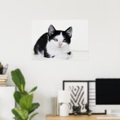 Affiche de chaton pensif noir et blanc (Bureau à domicile)