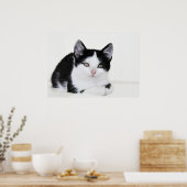 Affiche de chaton pensif noir et blanc (Cuisine)