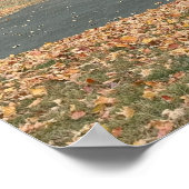 Affiche de chemin d'automne (Coin)