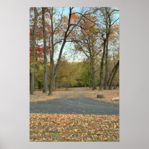 Affiche de chemin d'automne