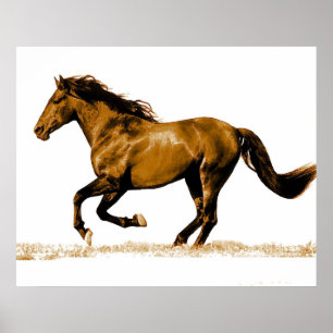Affiche de Cheval au Galop
