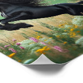 Affiche de cheval noir mural (Coin)