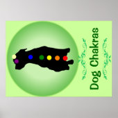 Affiche de Chien Chakras (Devant)
