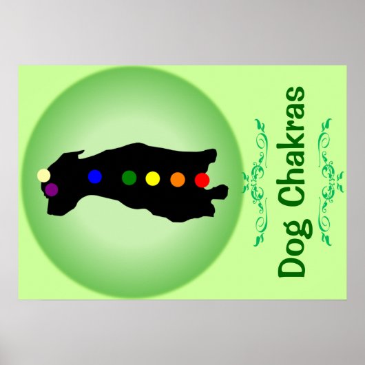Affiche de Chien Chakras (Devant)