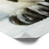 Affiche de Chien Chien Chien Chien Chien Triste Ca (Coin)
