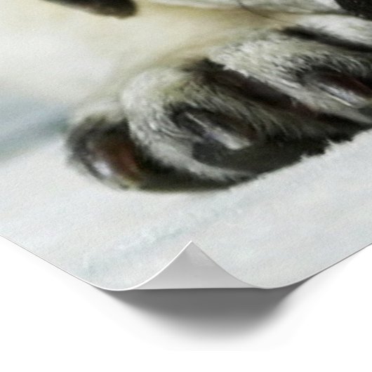 Affiche de Chien Chien Chien Chien Chien Triste Ca (Coin)