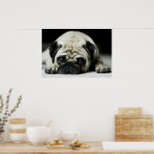 Affiche de Chien Chien Chien Chien Chien Triste Ca (Cuisine)