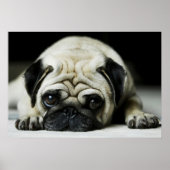 Affiche de Chien Chien Chien Chien Chien Triste Ca (Devant)