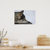 Affiche de chien husky aux yeux bleus (Cuisine)