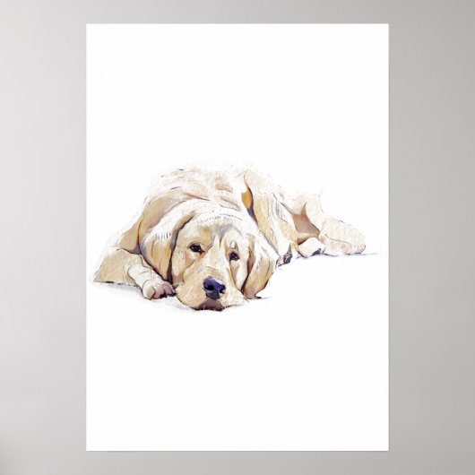 Affiche de chien Retriever doré - Cadeau pour amat (Devant)
