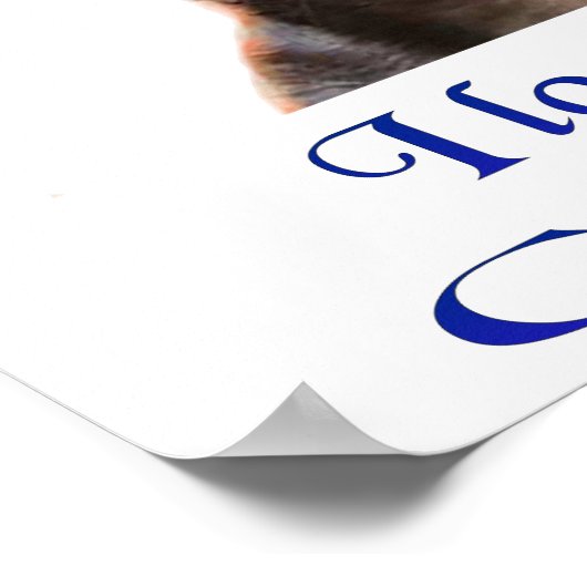 Affiche de Chihuahua (Coin)