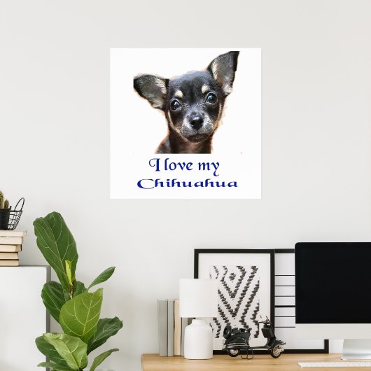 Affiche de Chihuahua (Bureau à domicile)