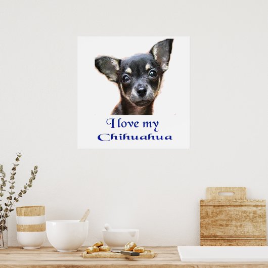 Affiche de Chihuahua (Cuisine)