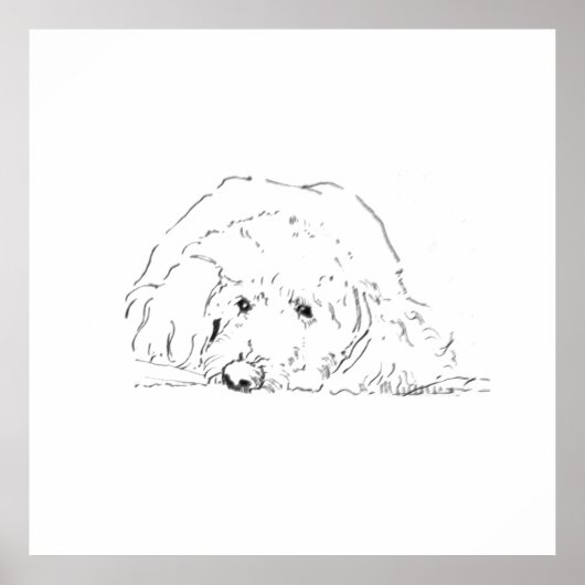 Affiche de chiot Cockapoo, idées de cadeaux pour a (Devant)