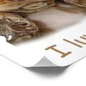 affiche de chiot cocker spaniel (Coin)