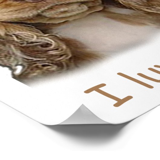 affiche de chiot cocker spaniel (Coin)