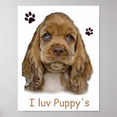affiche de chiot cocker spaniel (Devant)