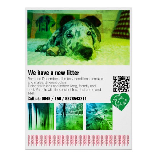 Affiche de chiot Great Dane Designer (Devant)