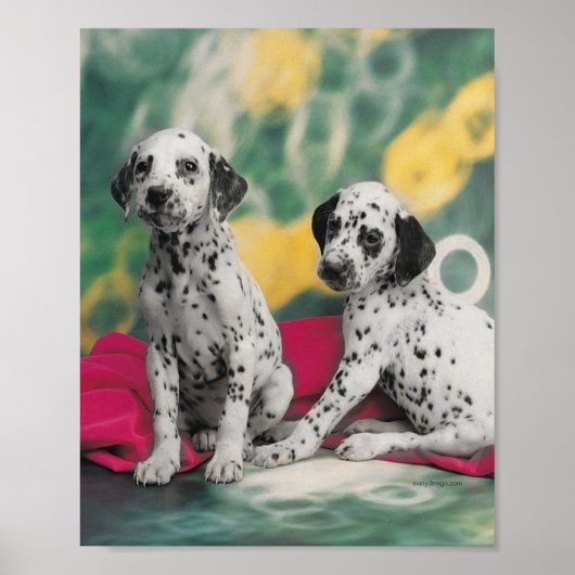 Affiche de chiots dalmates (Devant)