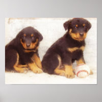 Affiche de chiots Rottweiler