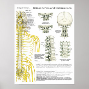 Affiche de chiropractie de nerfs rachidiens et de