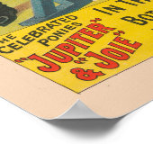 Affiche De Cirque De 2 Ponies Qui Saute Sur Un Obs (Coin)