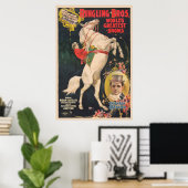Affiche De Cirque De Madame Ada Castello Sur Un Ch (Bureau à domicile)