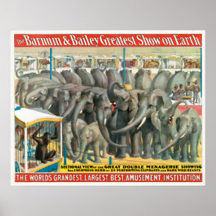 Affiche De Cirque D'Éléphants Et D'Animaux En Cage