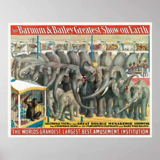 Affiche De Cirque D'Éléphants Et D'Animaux En Cage (Devant)