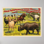 Affiche de cirque pour Adam Forepaugh & Sells Brot (Devant)