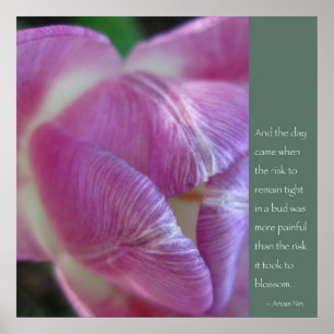 Affiche de citation Anais Nin