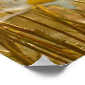 Affiche de citation de la foi inspirante - photogr (Coin)