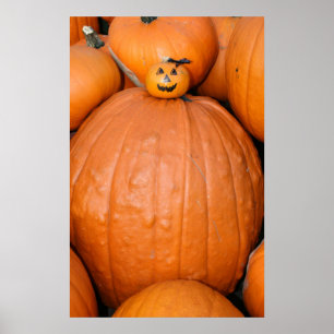 Affiche de citrouille