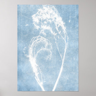 Affiche de cœur de plante de cyanotype bleu
