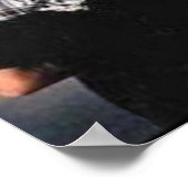 Affiche de coexistence (Coin)