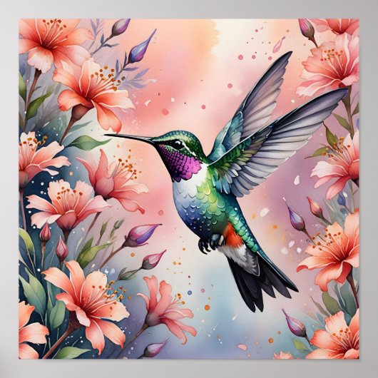 affiche de colibri floral (Devant)